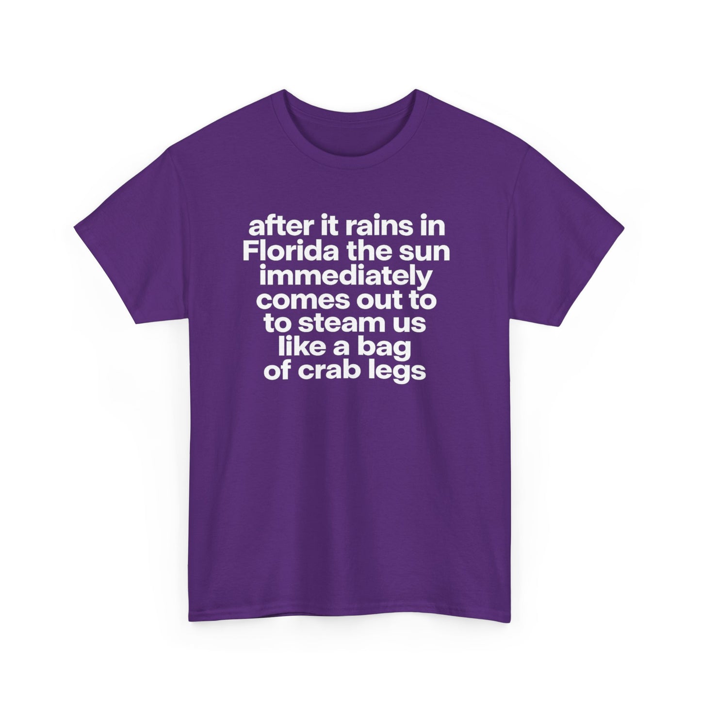 T-Shirt — "after it rains in Florida the sun immediately comes out to steam us like a bag of crab legs" Funny Florida Weather Tee