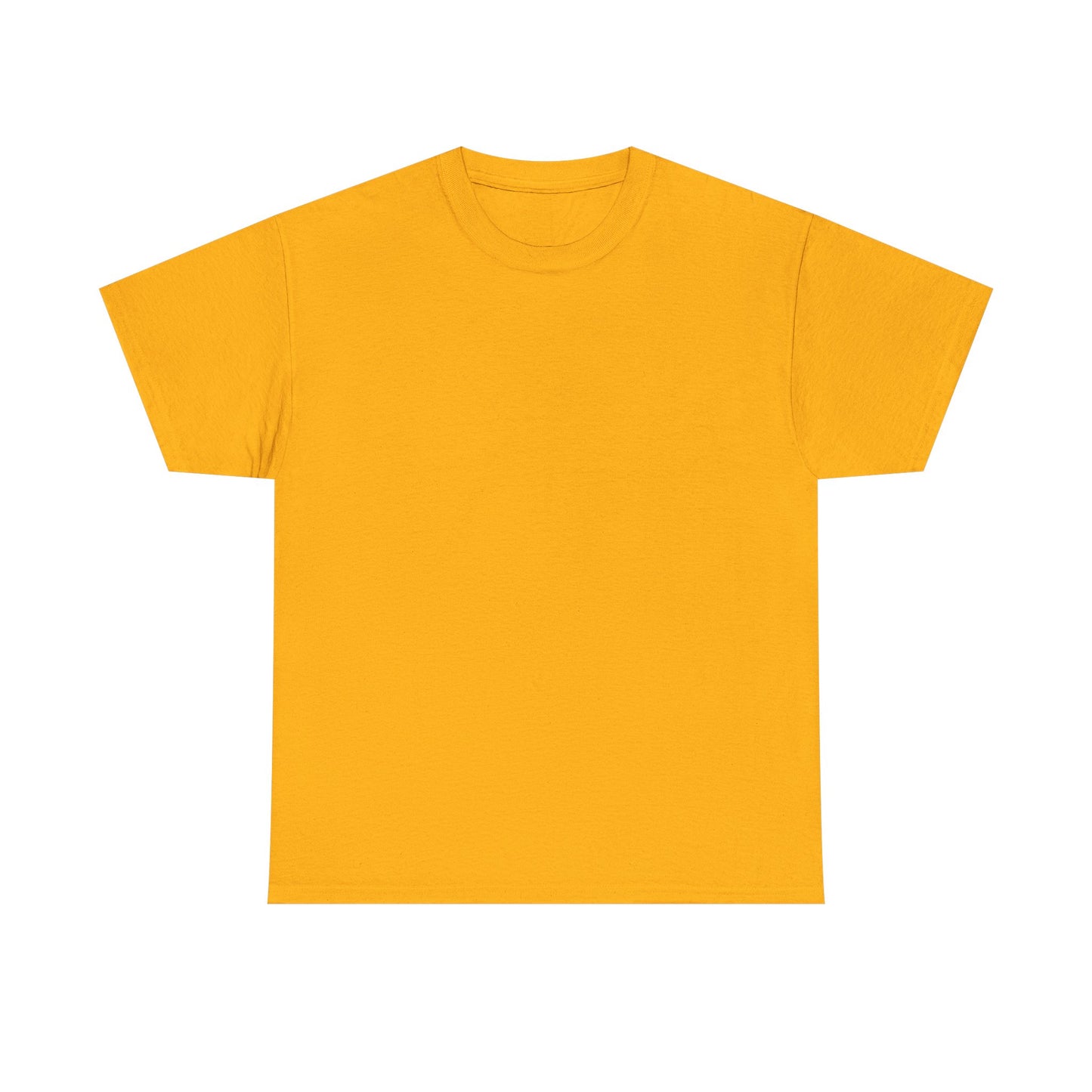 T-Shirt — "Too Old to Care Club: My Give a Damn is Broken" Vintage Beach Tee
