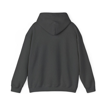 Christmas 2026 Holiday Hoodie — Festive Winter Village Sweatshirt