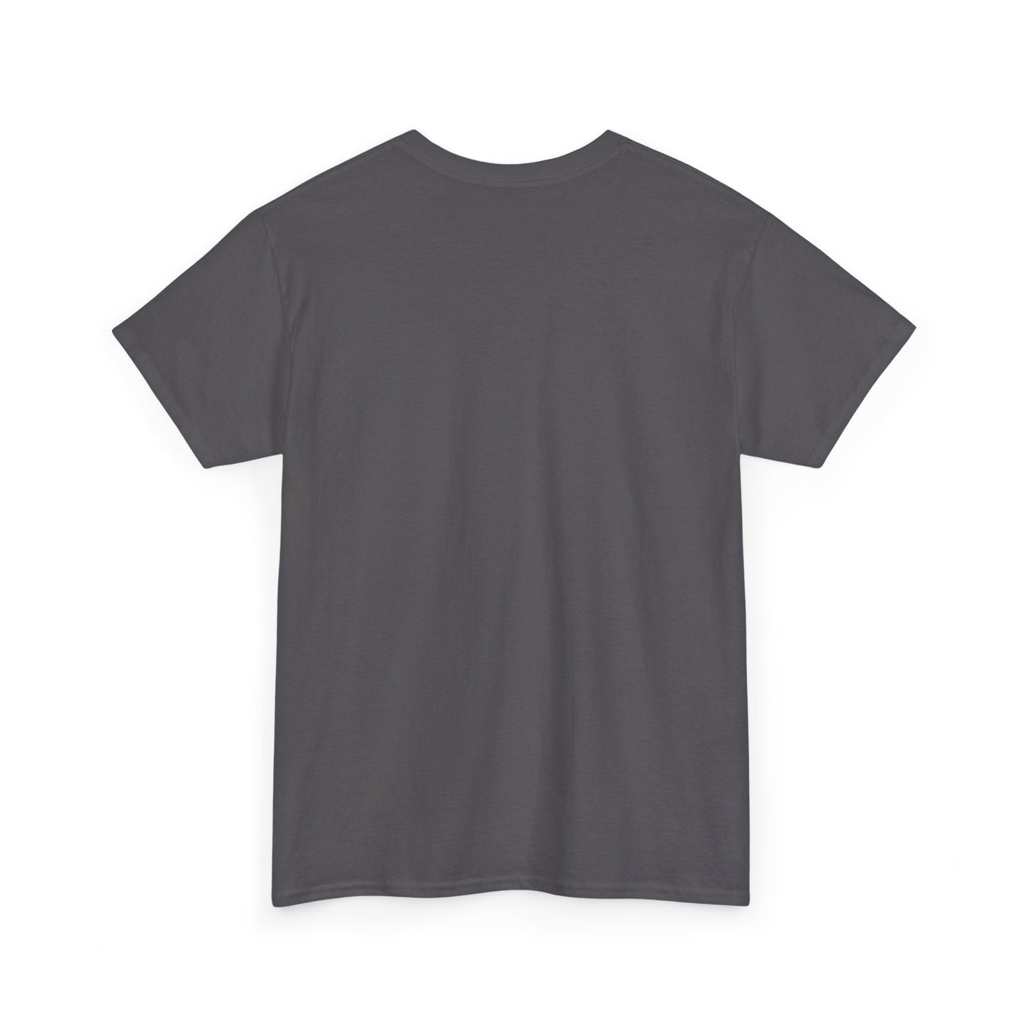Fasten Your Seatbelts Tee — 'Fasten your seatbelts, it's going to be a bumpy ride.' Graphic T‑Shirt