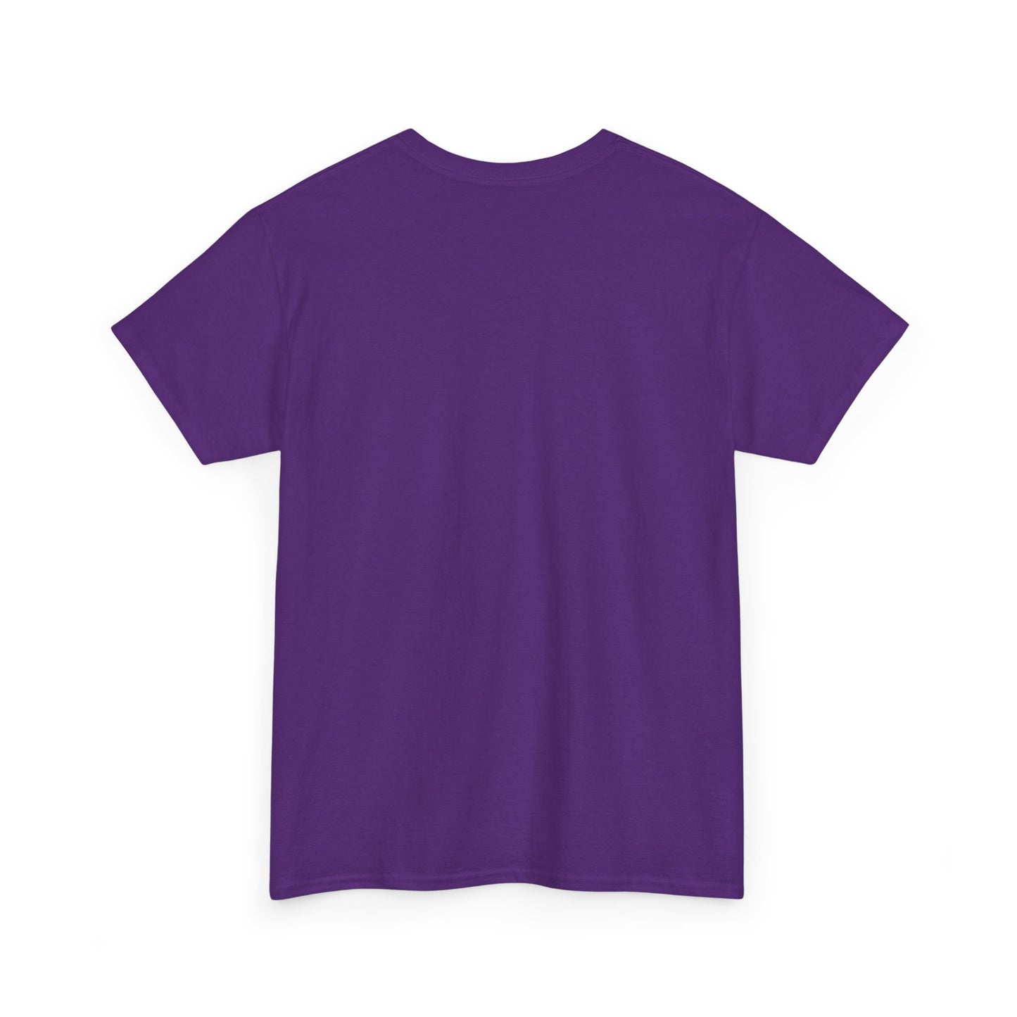 Tampa Retro Sunset T-Shirt — Vintage 70s Striped Beach Tee