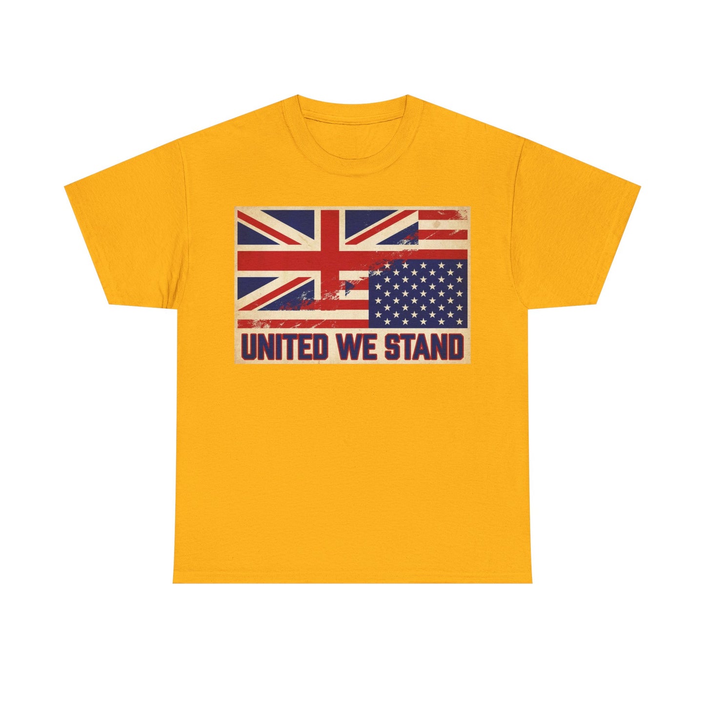 United We Stand Flag T-Shirt