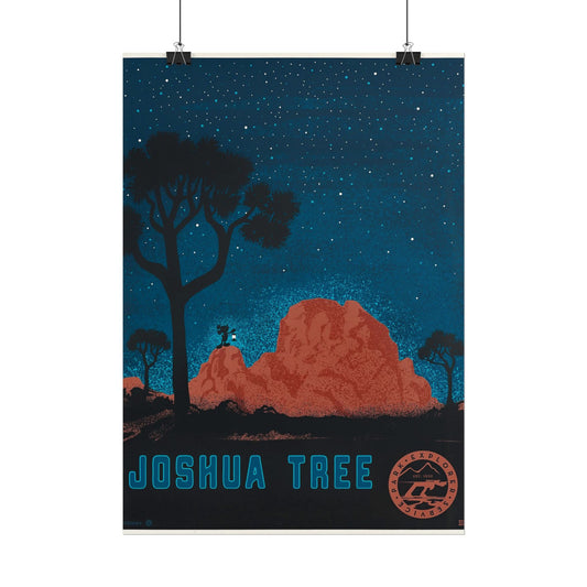 Joshua Tree Night Sky Poster - Rolled Art Print