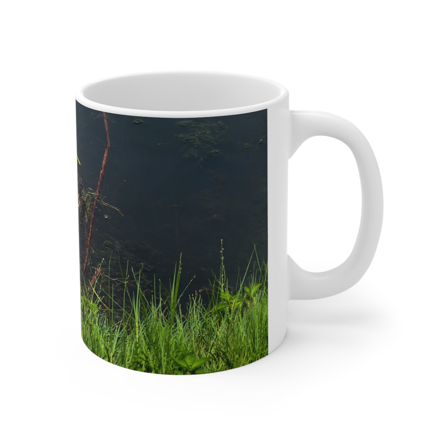 Florida Alligator Stare Ceramic Mug — 11oz & 15oz Coffee Cup with Wildlife Photography