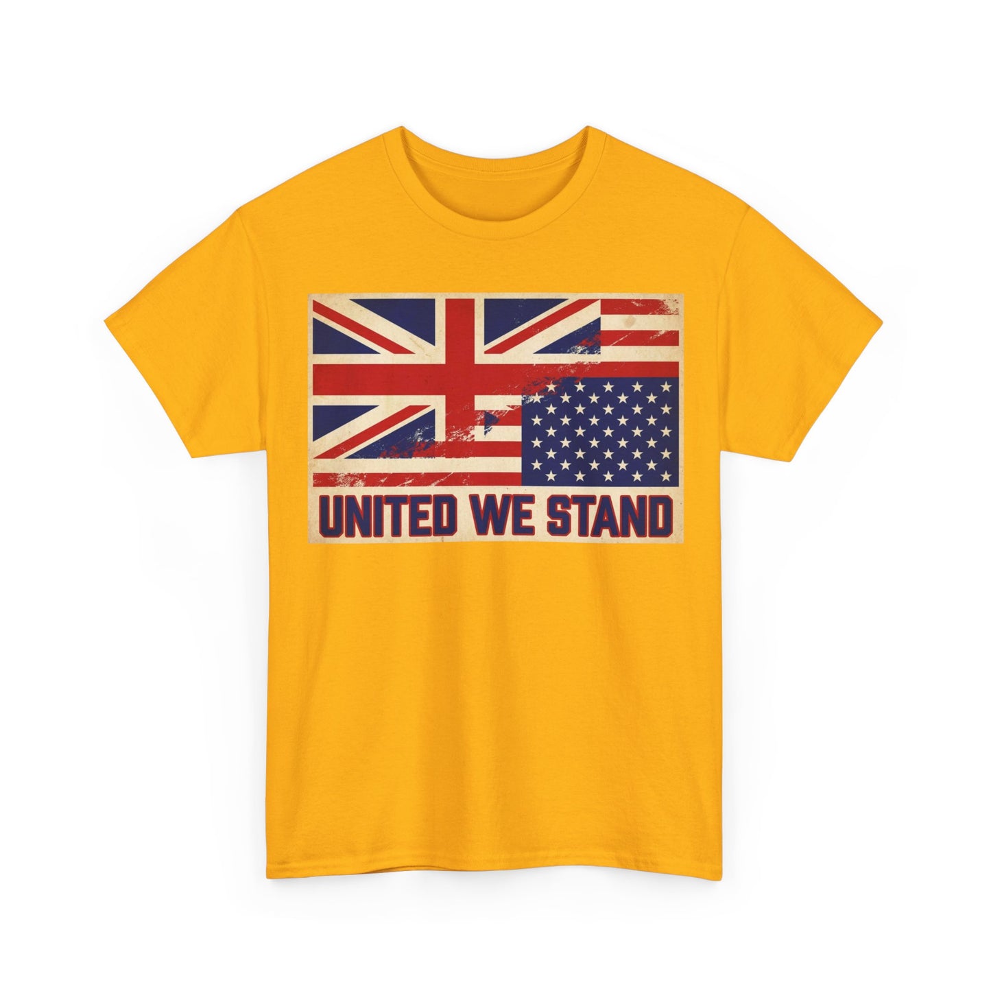 United We Stand Flag T-Shirt